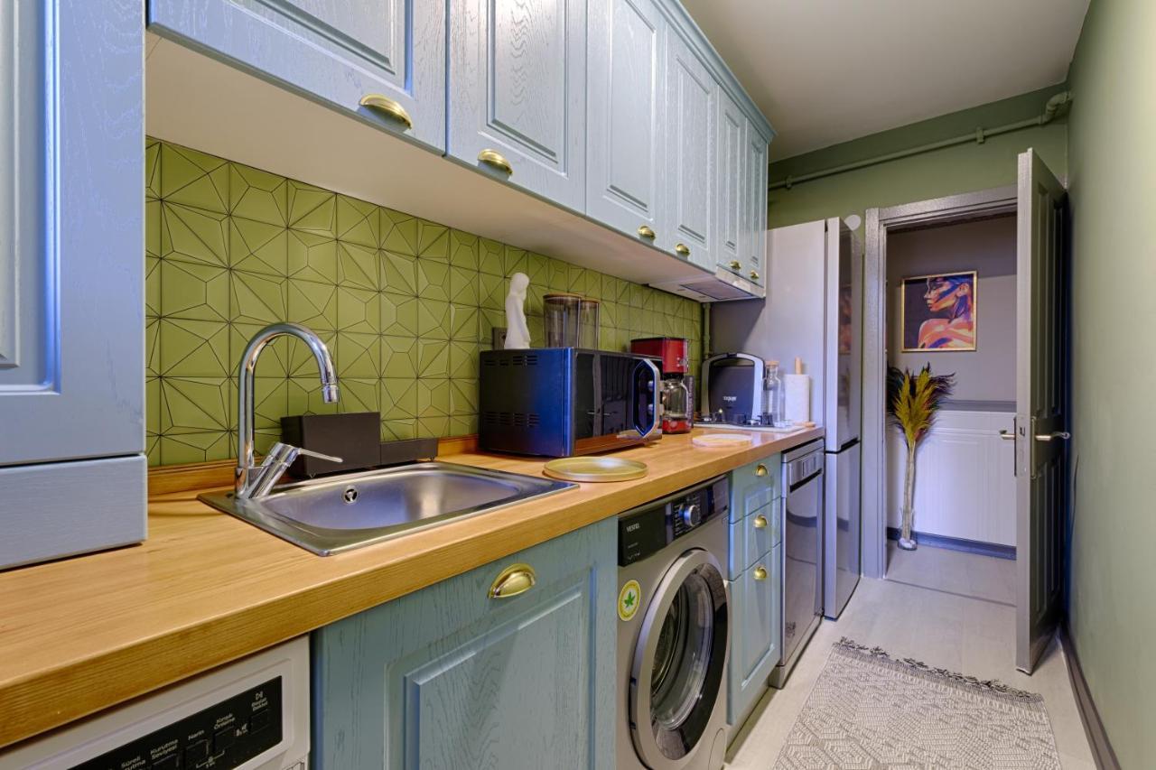 Apartament Artful W/projector In Beyoglu, Cihangir *